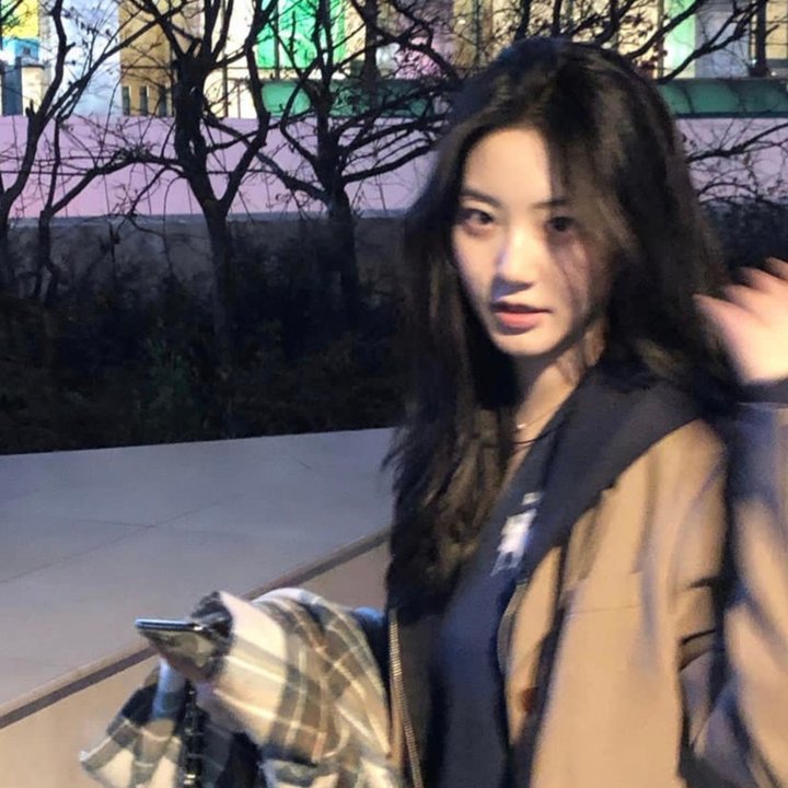 足球灵灵狗：进军欧洲杯
